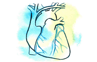 Illustration av ett hjärta i grön och blå vattenfärg.